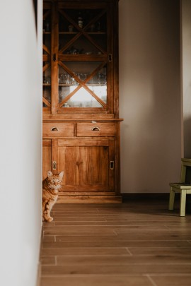 Séance Famille | chez Sarah & Thomas